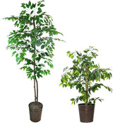 Artificial Ficus Tree with Real-Wood Trunk & Copper Metal Pot - Indoor and Outdoor Faux