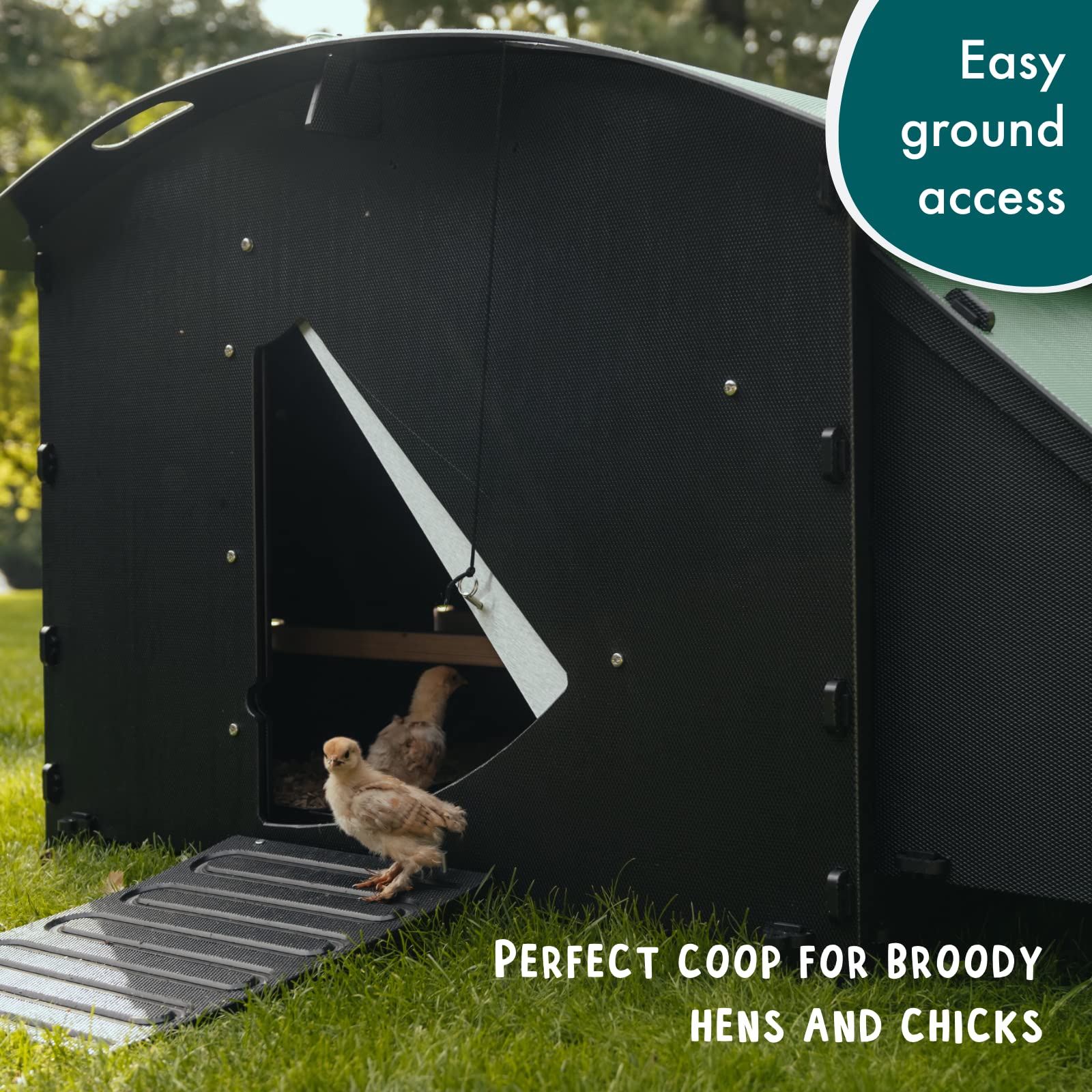 Nestera Plastic Chicken Coop - 25yr Lifespan, Large Ground Coop for 4-8 Chickens, Easy to Clean, UV Resistant, Predator Proof