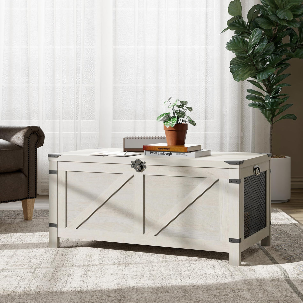 Coffee Table for Living room,Lift Top Coffee Table with Storage,Small Accent Furniture