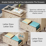 2 Drawer Lateral File Cabinet, Office Filing Cabinet for A4 / Letter Size/Legal Size Files