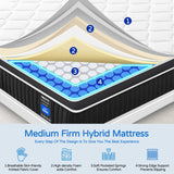 Queen Mattress 12 Inch, Queen Size Hybrid Mattresses in a Box