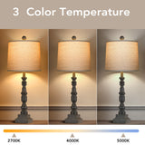 28" Rustic Table Lamps Set of 2 with USB Charging Ports