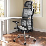 Office Chair Ergonomic Desk Chair, All-Mesh High Back Home Office Chair Lumbar