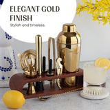 Bartender Kit:10-Piece Bar Tool Set with Dark Bamboo Stand | Perfect Home Bartending Kit and Martini Cocktail Shaker Set