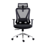 Truly Ergonomic Office Chair with Lumbar Support & Adjustable Headrest