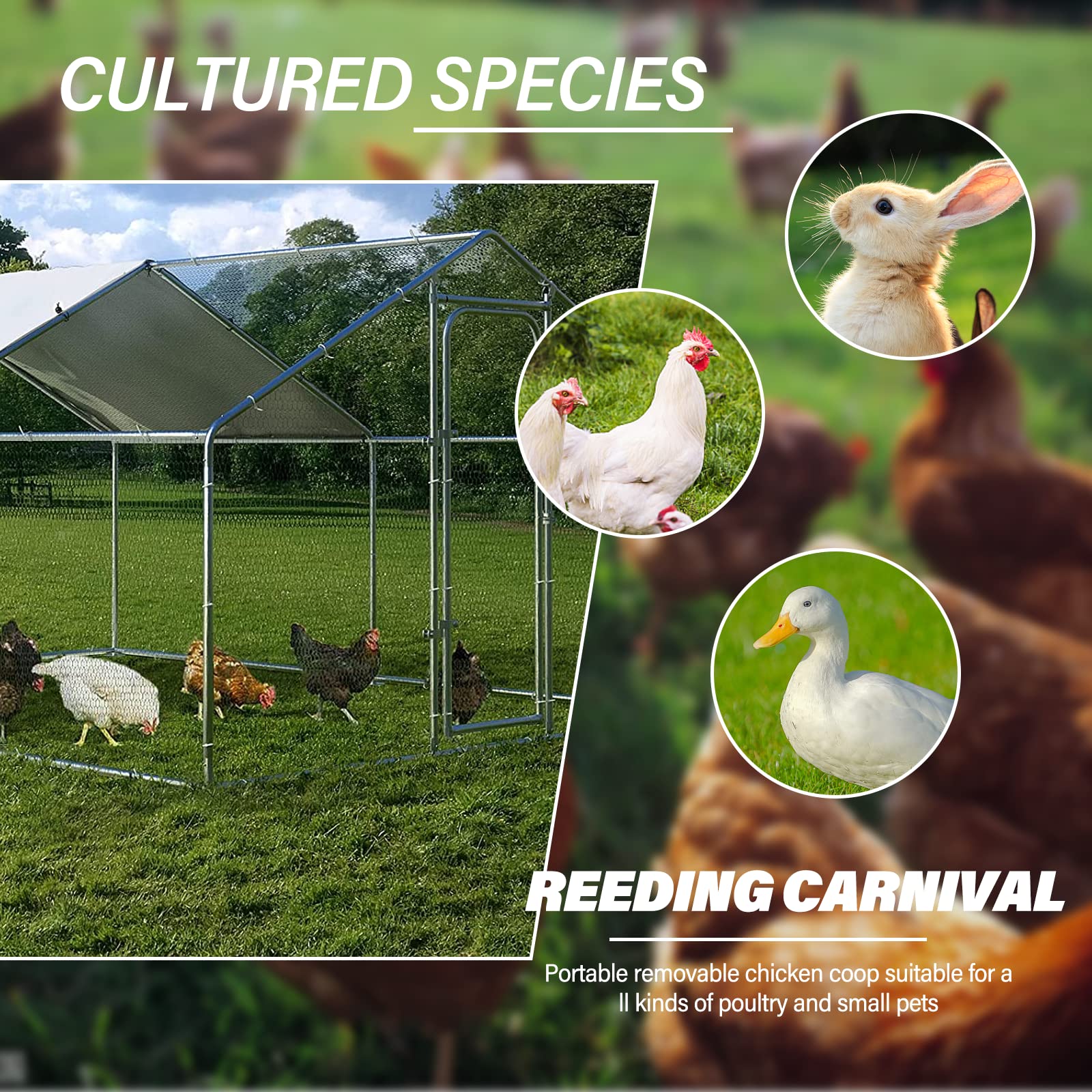 GuardNest XL Walk-In Chicken Coop with Full PVC Mesh & UV Tarp