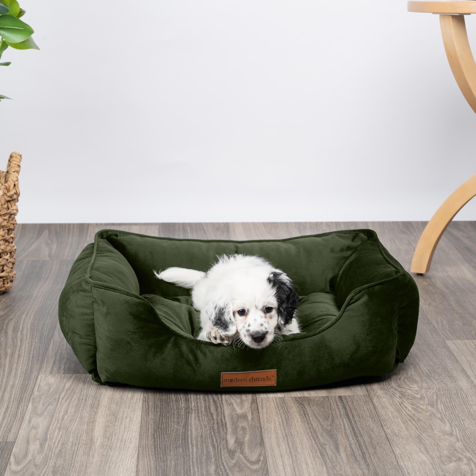 Luxury Dog Bed - Comfortable Tufted Velvet Cushion for Small to Large Dogs