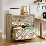 Rustic-Modern File Cabinet for Home Office, 2-Drawer File Cabinet with Mirrored Finish