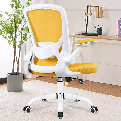 Ergonomic Office Chair, Breathable Mesh Desk Chair, Lumbar Support Computer Chair