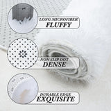 White Fluffy Area Rug Bedroom: Shag Rugs for Bedroom -White Area Rug 5x7 Plush Fuzzy Carpet (White, 5x7 Feet)