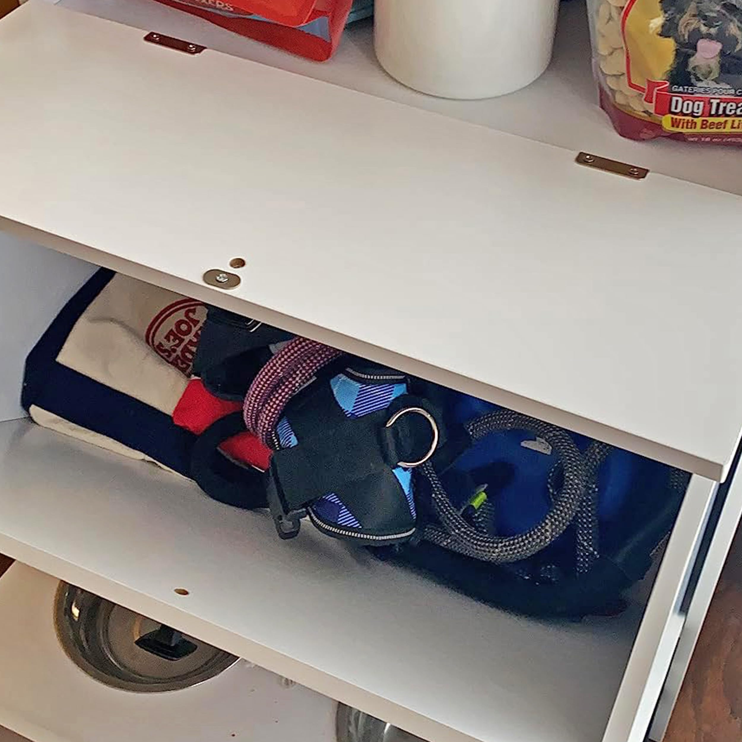 Raised Dog Bowl Stand with Food Storage Cabinet - White Pet Feeding Station