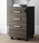 Lazio File Cabinet with Lock - Filing Cabinet for Home and Office