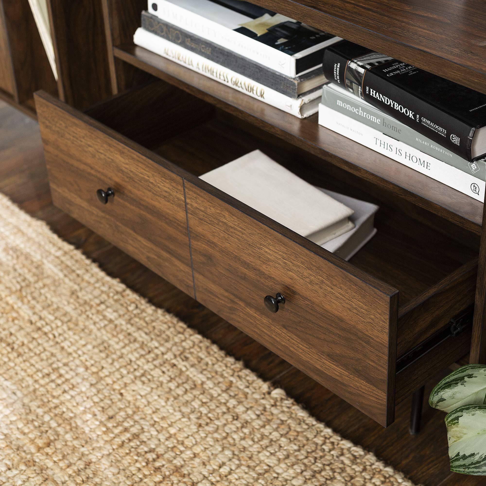 Modern Wood TV Stand with Record Storage for TV's up to 65