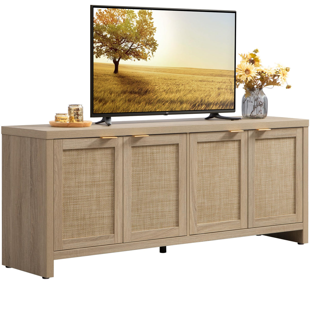 Boho TV Stand with Rattan Cabinets for 45-65 Inch TVs