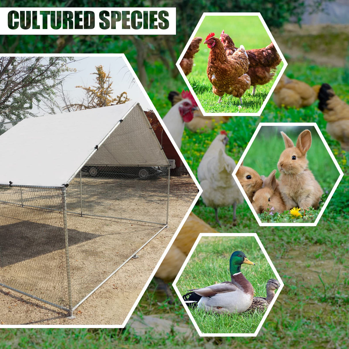 Large Metal Chicken Coop Walk-in Poultry Cage Hen Duck Run House