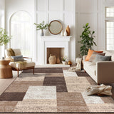 Contemporary Distressed Boxes Area Rug - Brown