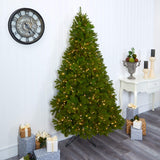 7ft. Cambridge Spruce Flat Back Artificial Christmas Tree with 500 Warm White