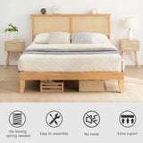 Rattan Bed Frame Queen with LED Lights