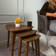 Solid Nesting Table Set of 3, Birch Mid Century Pebble Tables with Wood Tapered Legs