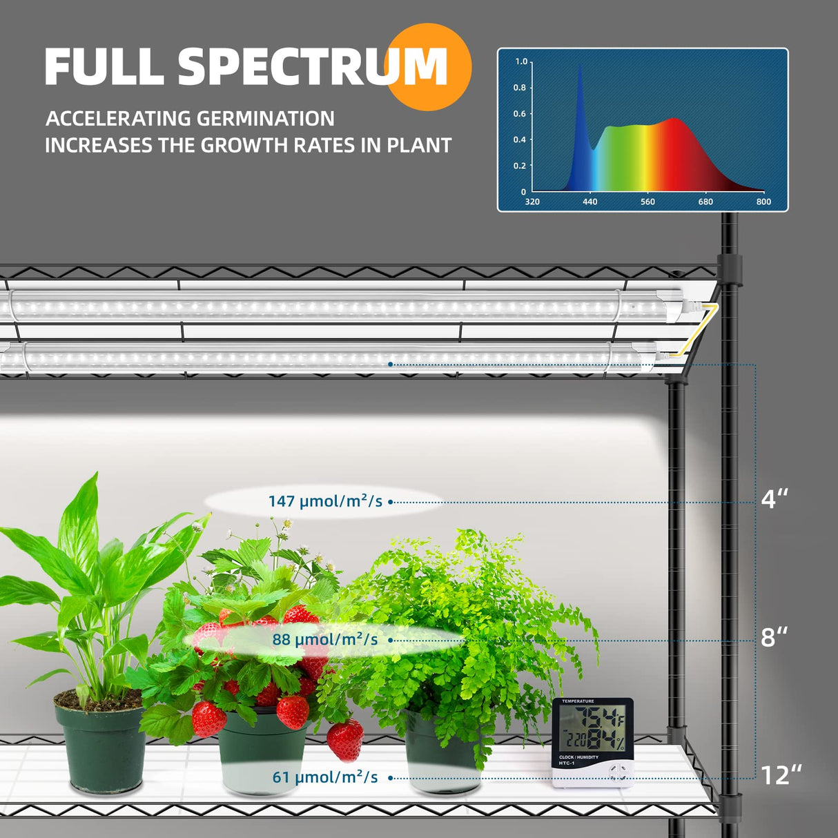 Barrina Mini Greenhouse with LED Grow Light for Indoor Plant, 4-Tier Portable Metal Plant Stand with Wheels, Plant Shelf with Tent, 6Pcs Plant Light with Timer and Thermo-Hygrometer, 35.4x13.8x59IN