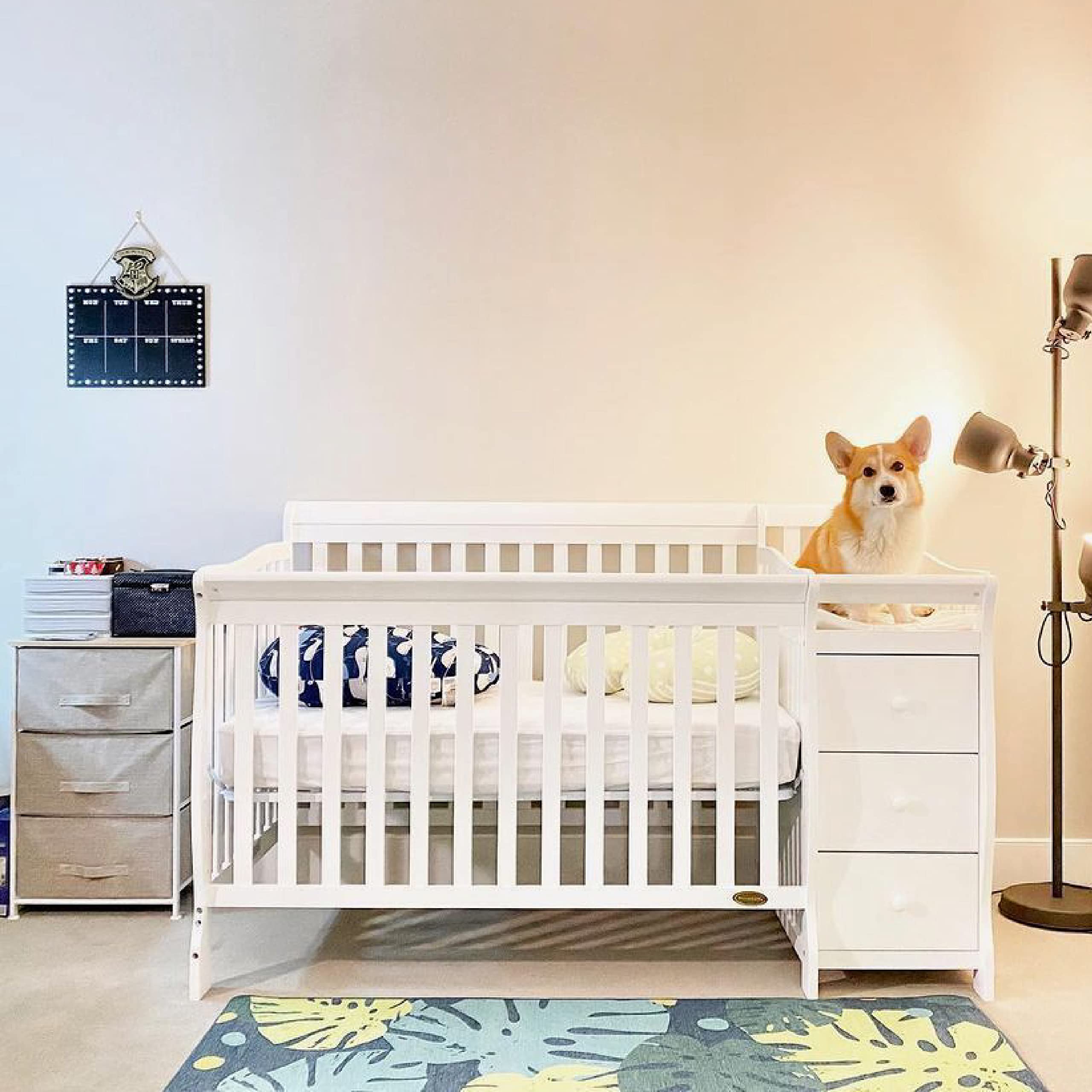 5 In 1 Brody Convertible Crib With Changer In White, Greenguard Gold Certified, Comes With 1" Changing Pad, Non-Toxic Finish, Made Of Durable Pinewood