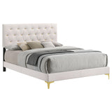 Kendall 49-Inch Upholstered Bed Queen Size Modern Panel Bed Frame Velvet Upholstery