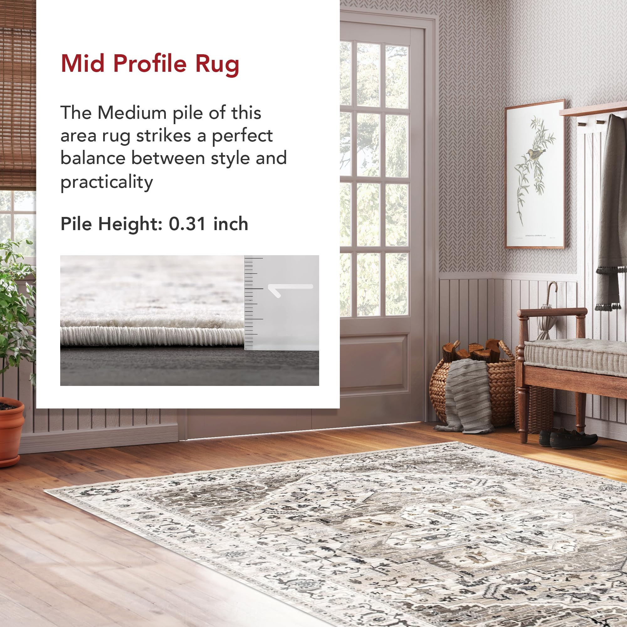 nuLOOM Oliveira Floral Medallion Fringe Area Rug, 8x10, Beige