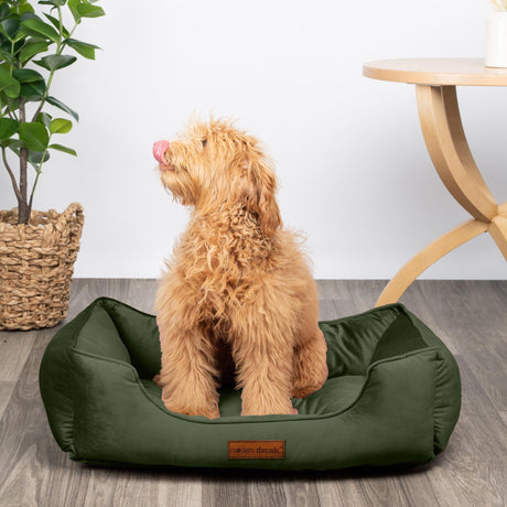 Luxury Dog Bed - Comfortable Tufted Velvet Cushion for Small to Large Dogs