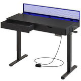 LED Electric Standing Gaming Desk with Double Drawers,47x23 Inch Standing Desk