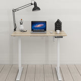 40 x 22 Inches Electric Height Adjustable Sit to Stand Desk