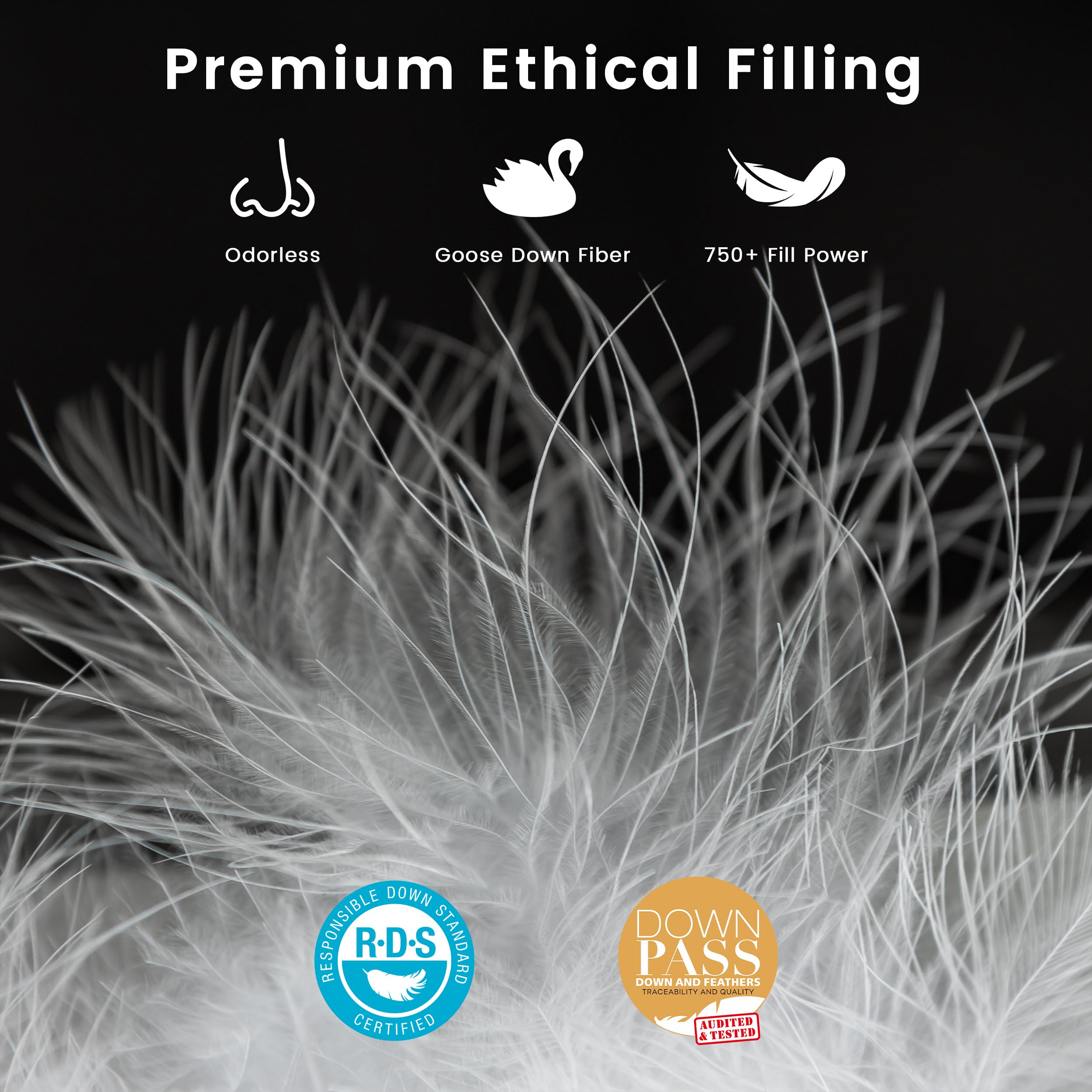 Goose Feather Down Comforter King Size - All Season Duvet Insert 750+ FP