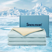 Cooling Comforter Queen Size, Silk Cooling Blanket for Hot Sleepers 90x90 Inch,