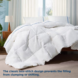 Goose Feather Down Comforter Queen Size - All Season Duvet Insert