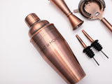 Cocktail Shaker Set, 7-Piece Bartender Kit with Stand, 24oz Martini Shaker Bottle Stainless