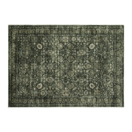 5 x 7 Area Rugs Washable Rug Boho Soft Living Room Rugs, Non-Slip