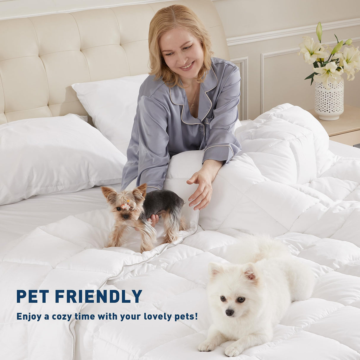 4 Piece Queen Sheets Deep Pocket, 100% Cotton Sheet Set, 22" Extra Deep Pocket Queen