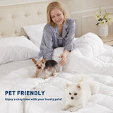 4 Piece Queen Sheets Deep Pocket, 100% Cotton Sheet Set, 22" Extra Deep Pocket Queen