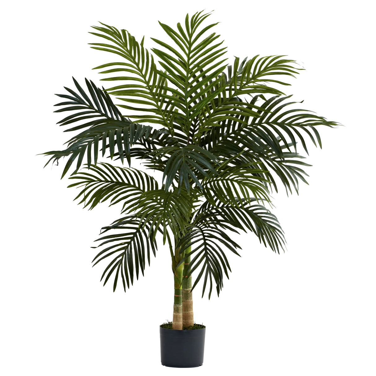 4ft. Golden Cane Palm Artificial Tree