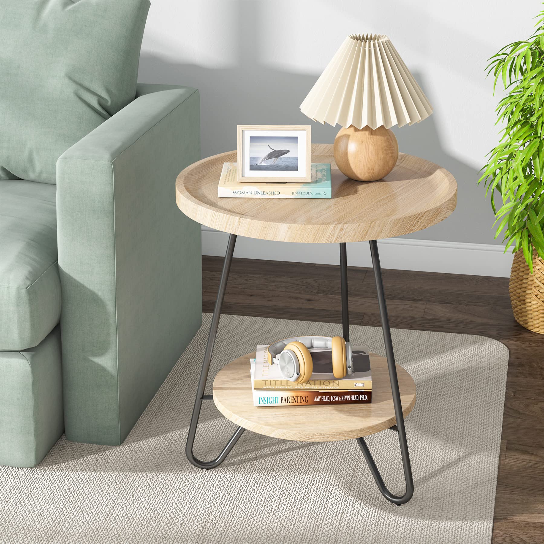 Set of 2 Round Side Table, 2-Tier End Table with Metal Legs