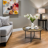 Set of 2 Coffee Table, 23.6" and 23.6" 2-Tier Table