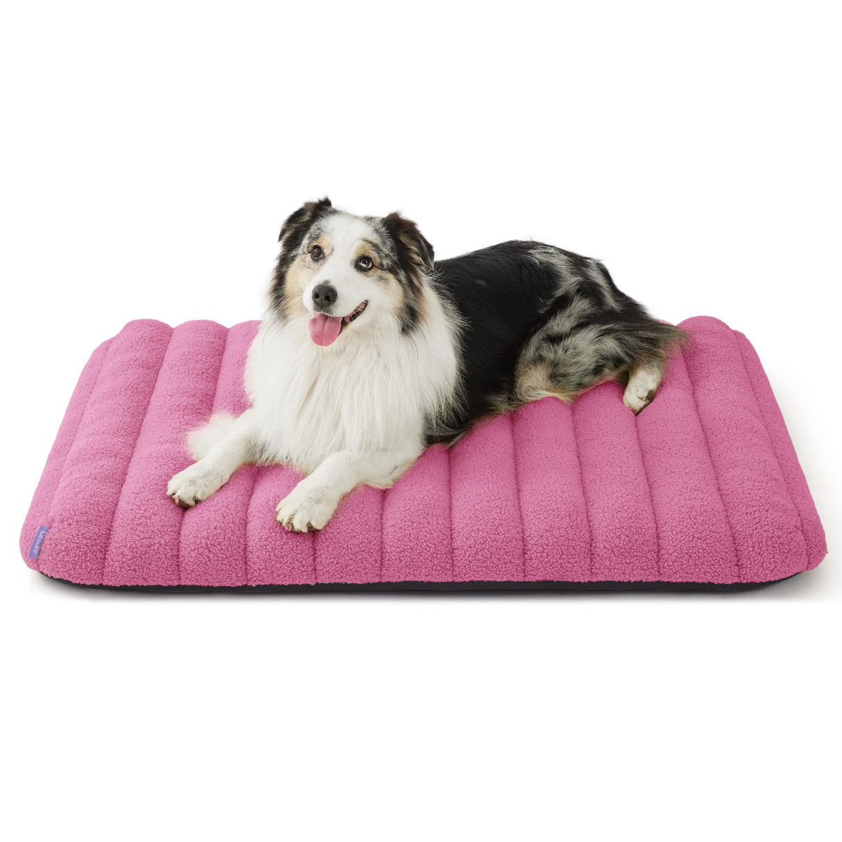 4 Inch Thick Orthopedic Foam Dog Bed for Large Dogs, Waterproof Chic Flat Dog Bed