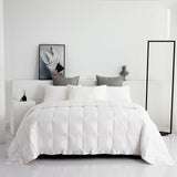 Lightweight Goose Down Comforter/Down Blanket/Duvet Insert for Summer/Warm Weather