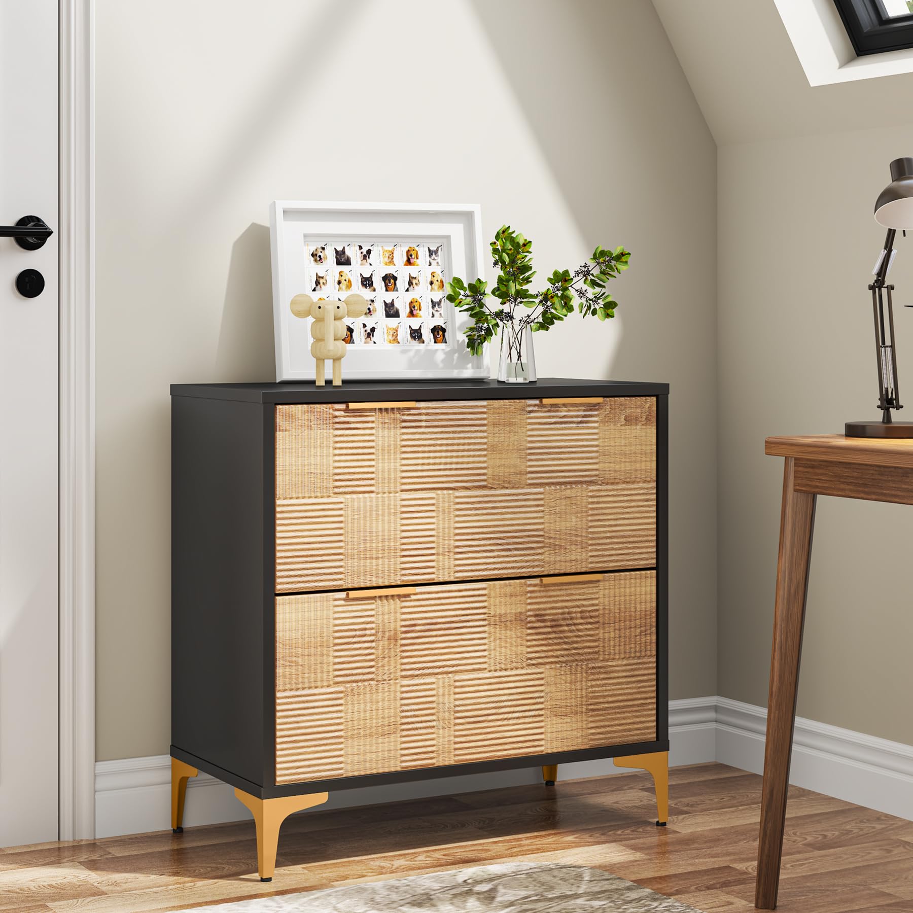 Modern File Cabinet, 2-Drawer Lateral Filing Cabinet with Adjustable Hanging Bar