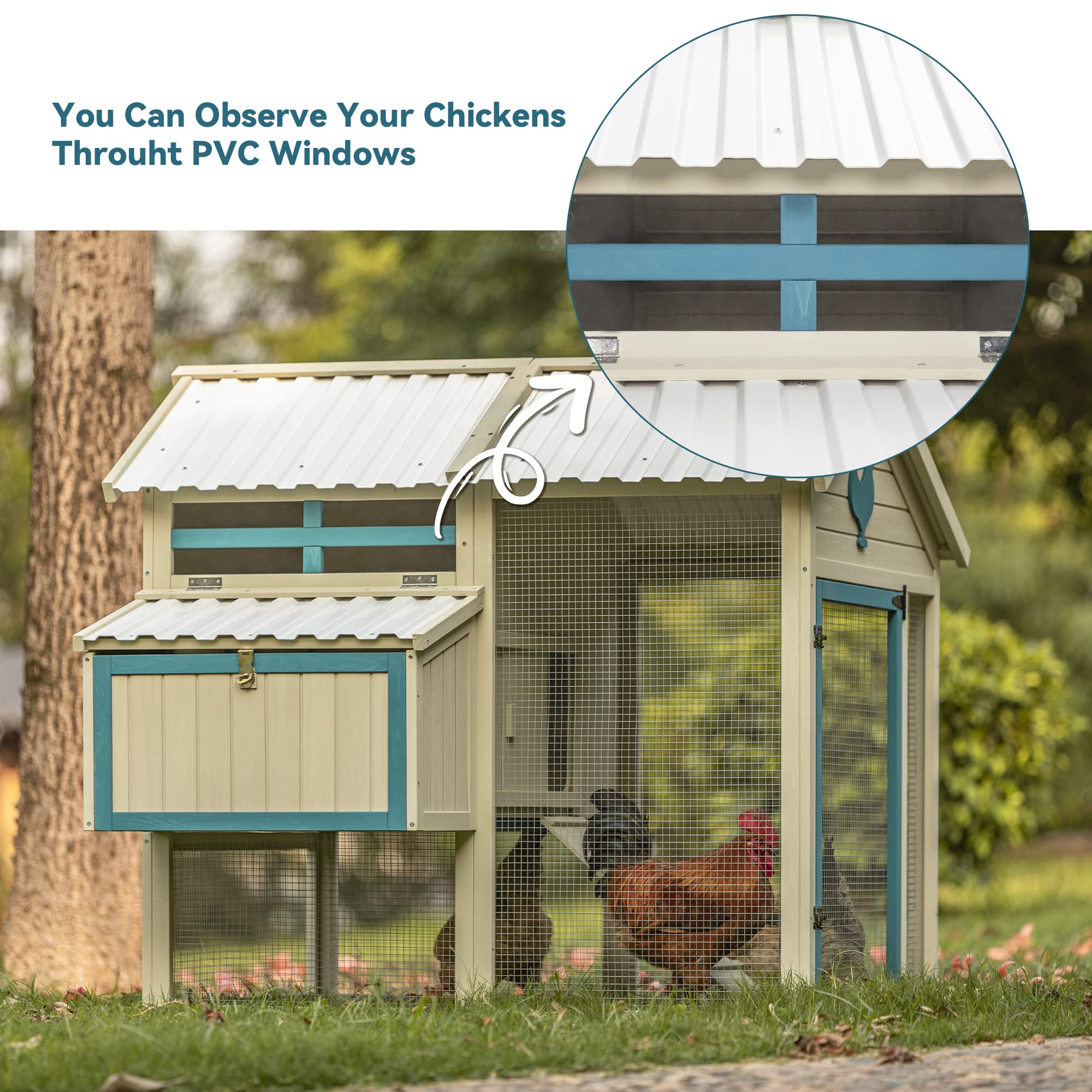 ClearTop Chicken Coop with Nesting Box & Transparent Panels