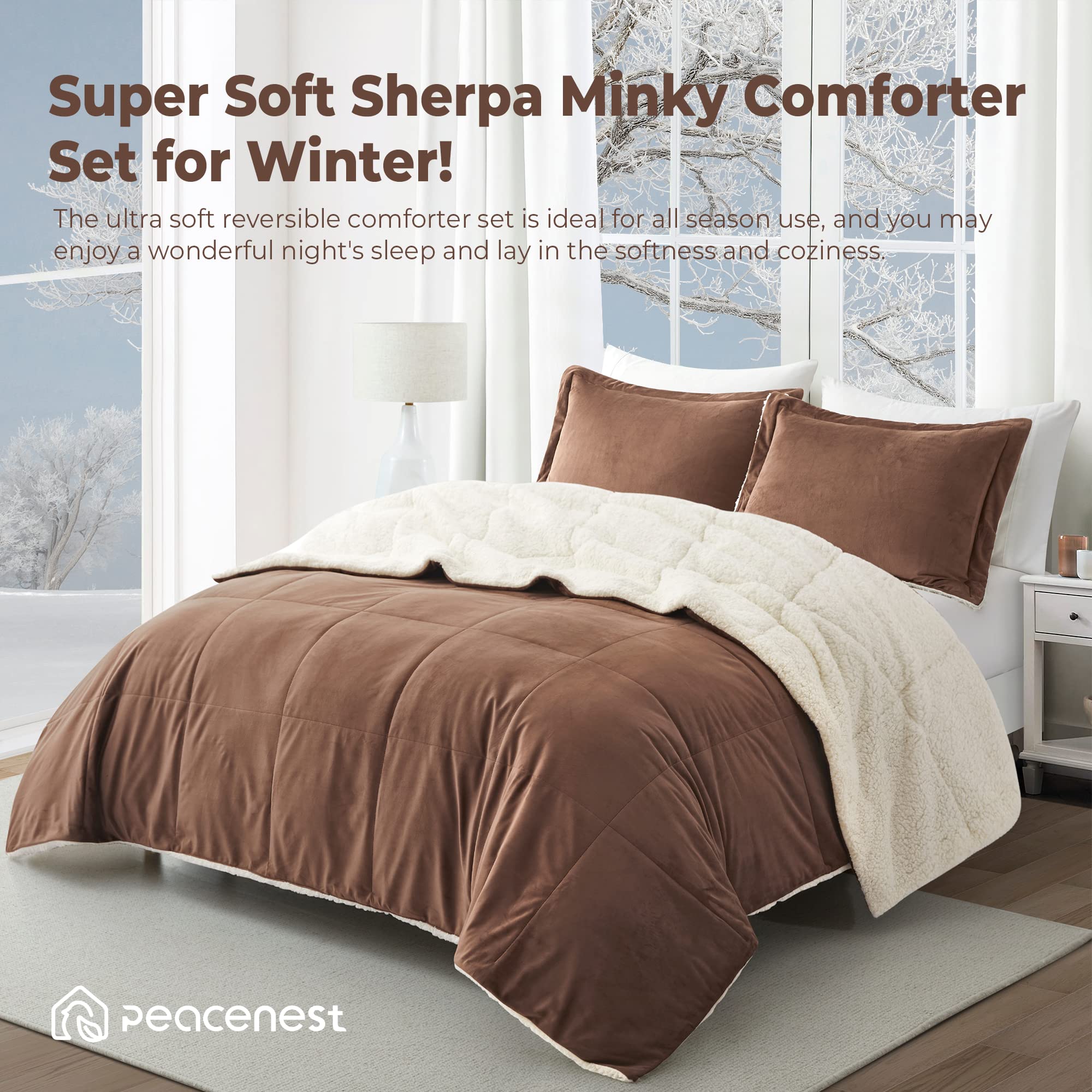 Sherpa Comforter Set Queen, Winter Warm Comforter Queen Size Ultra Soft Fuzzy Plush