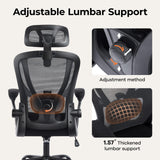 Ergonomic Office Chair with Lumbar Support and Adjustable Headrest