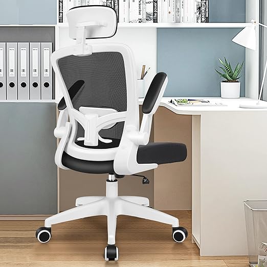 Ergonomic Office Chair, Headrest Desk Chair