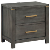 Benjara Ren Nightstand, 2 Drawers, Tone Accents, Bar Handles, Dark, Gray and Brass