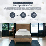 Twin Bed Mattress - 12 Inch Hybrid Twin Mattress with High Density & Comfort Cold Foam with Continuous Coil Bonnell Springs -