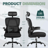 Ergonomic Office Chair, High Back with Breathable Mesh Seat,Adjustable Lumbar Support